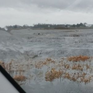 Meet your Posher, Gail